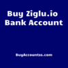 Buy Ziglu.io Account